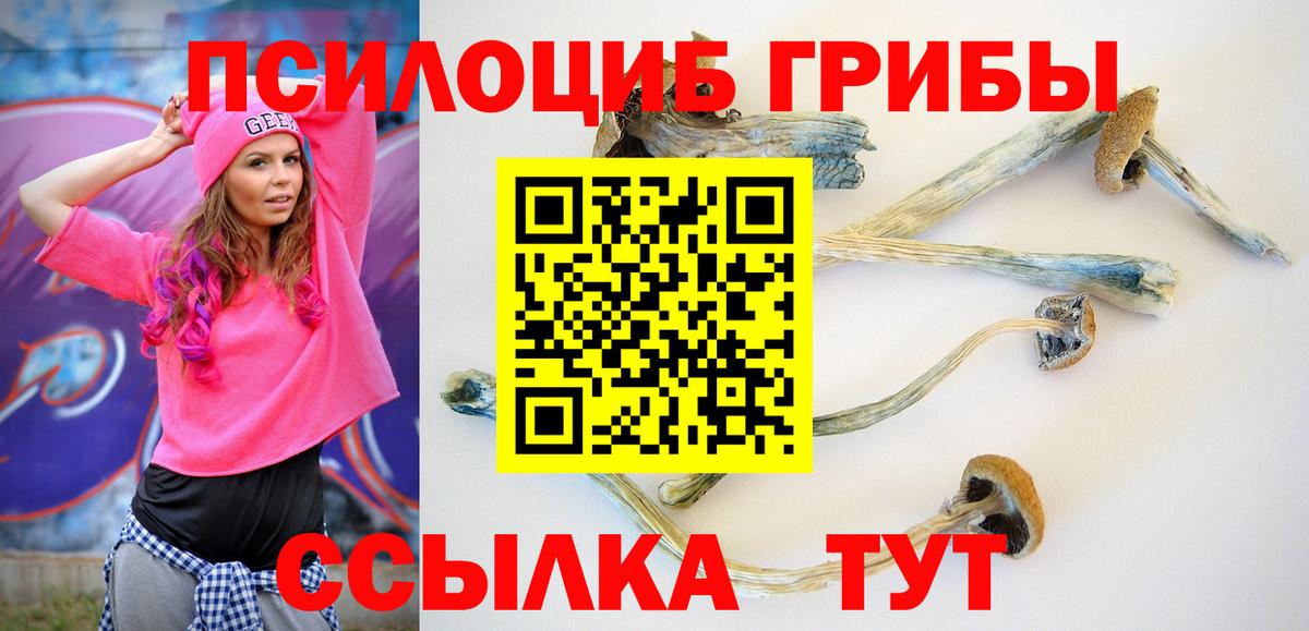Галлюциногенные грибы ЛСД  Псилоцибиновые грибы MAGIC MUSHROOMS  купить наркоту  Луховицы  Вход с VPN 